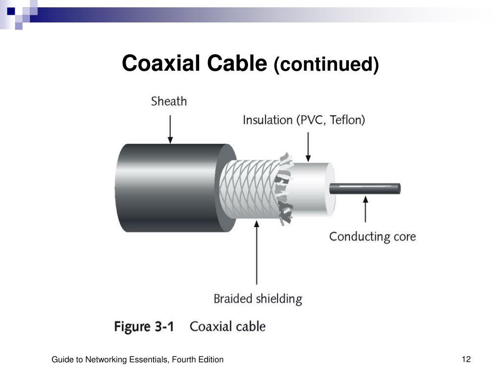 PPT Chapter 3 Networking Media PowerPoint Presentation, free