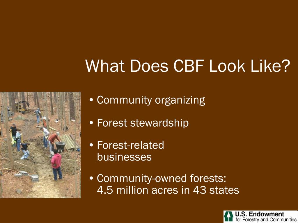 PPT CommunityBased Forestry in the United States PowerPoint