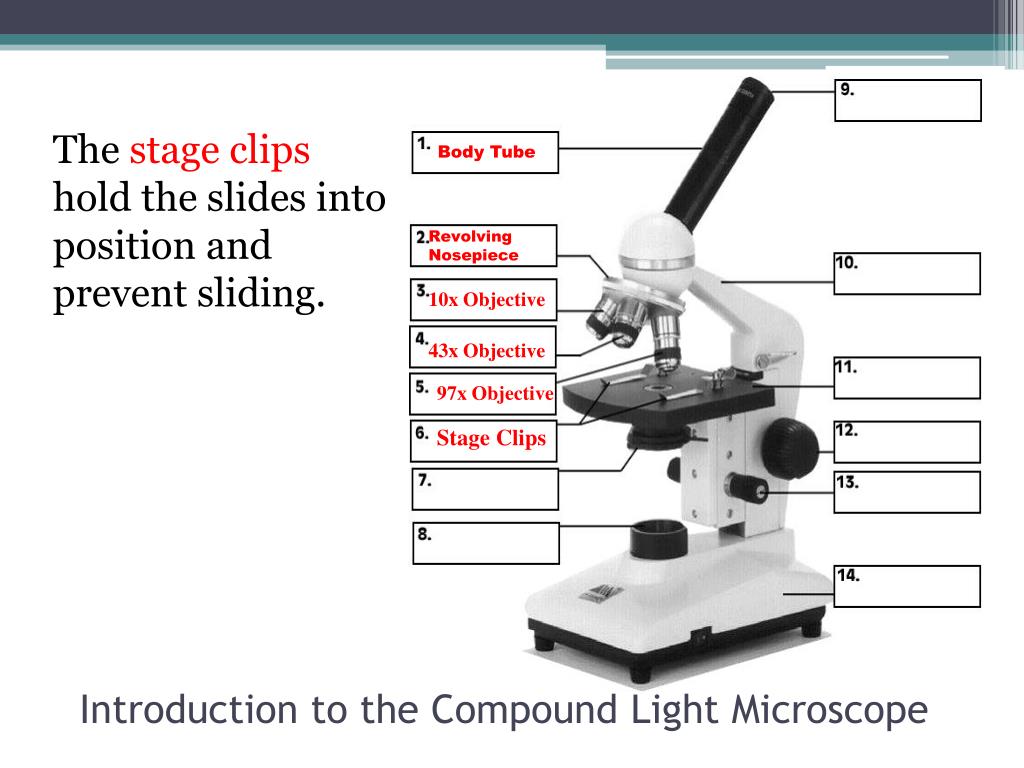 Compound Microscope Stage Clips Micropedia