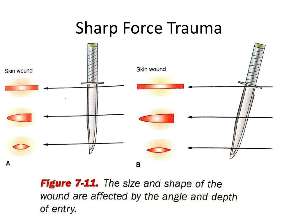 PPT Unit 7 The Body PowerPoint Presentation, free download ID2697847