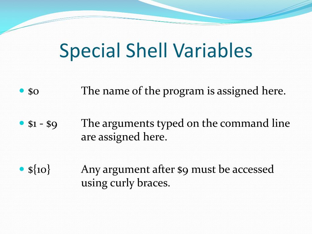 PPT What is Bash Shell Scripting? PowerPoint Presentation, free