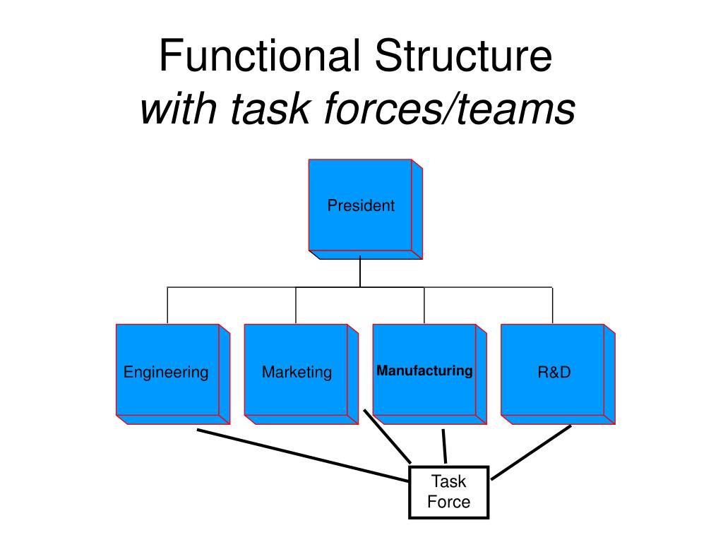 Task Force Organizational Structure