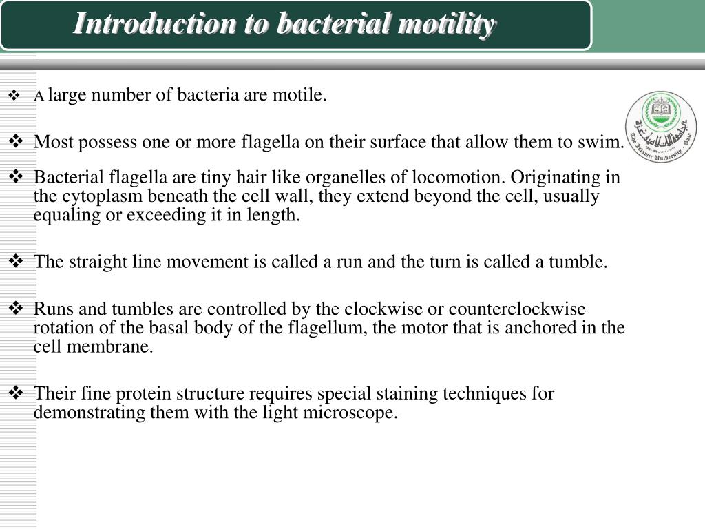 PPT Bacterial motility PowerPoint Presentation, free download ID