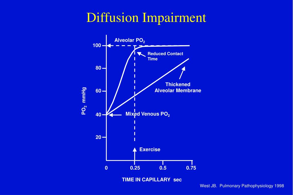 PPT Arterial Blood Gas Analysis PowerPoint Presentation, free