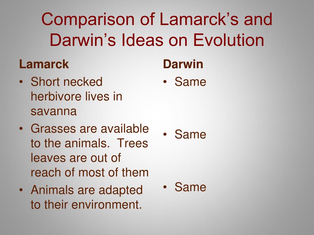 Darwin Vs Lamarck Comparison Chart Theory Evolution Difference