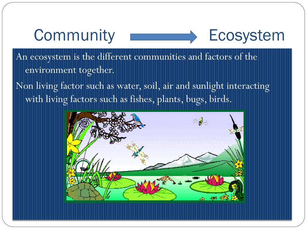 Principles of Ecology – Environmental Biology