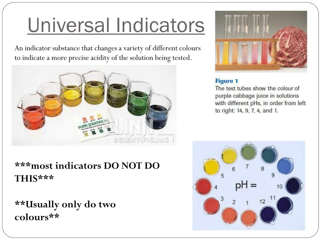 PPT electrolytes electrolytes PowerPoint Presentation, free download