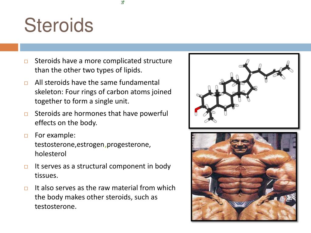 PPT Lipids/ fatty acids and glycerol PowerPoint Presentation, free download ID2707413