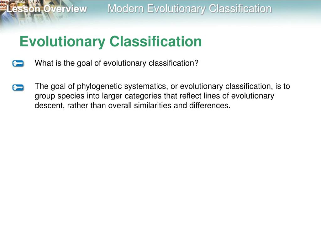 PPT - Lesson Overview PowerPoint Presentation, free download - ID:2708545