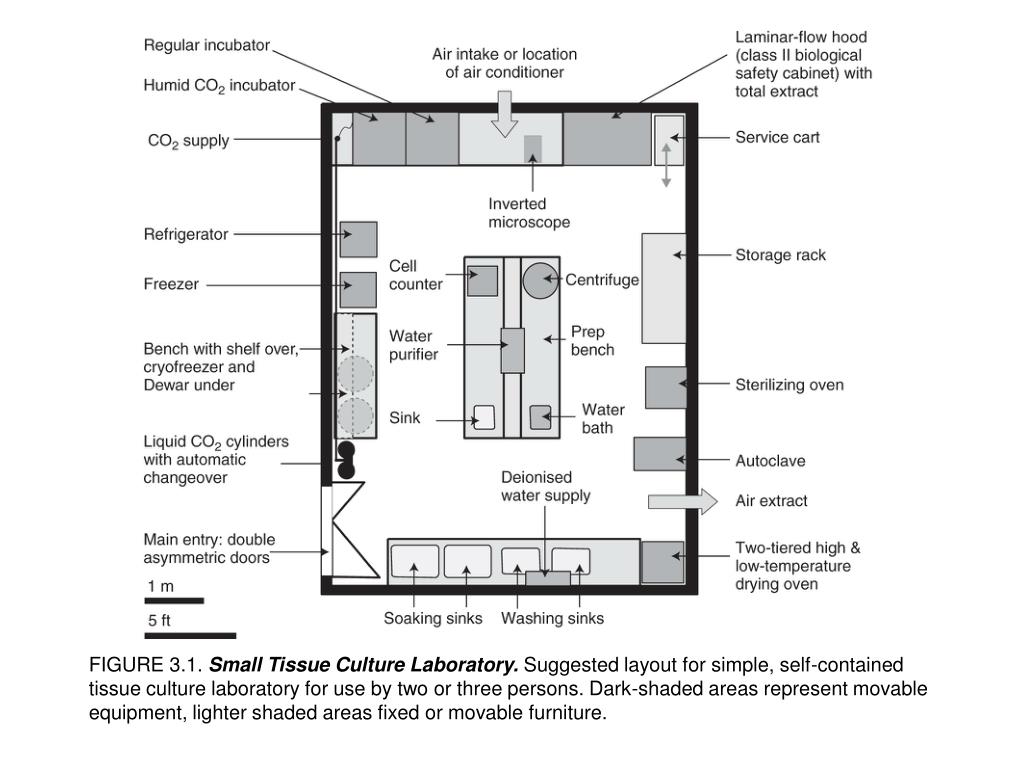 Plant Tissue Culture Laboratory Design Wallapper