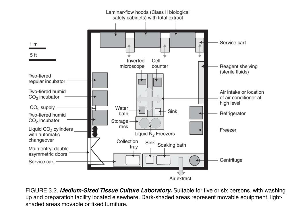 PPT FIGURE 3.4. Large Tissue Culture Laboratory. Suitable for 20 to
