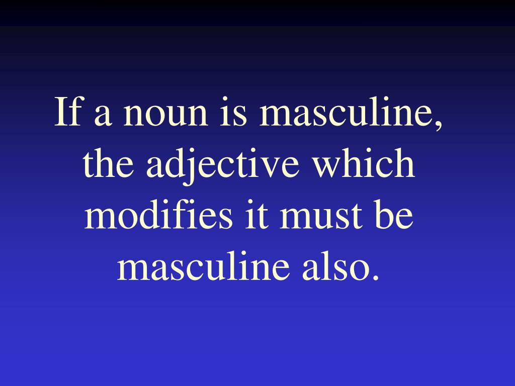 PPT Adjective endings and noun / adjective agreement PowerPoint