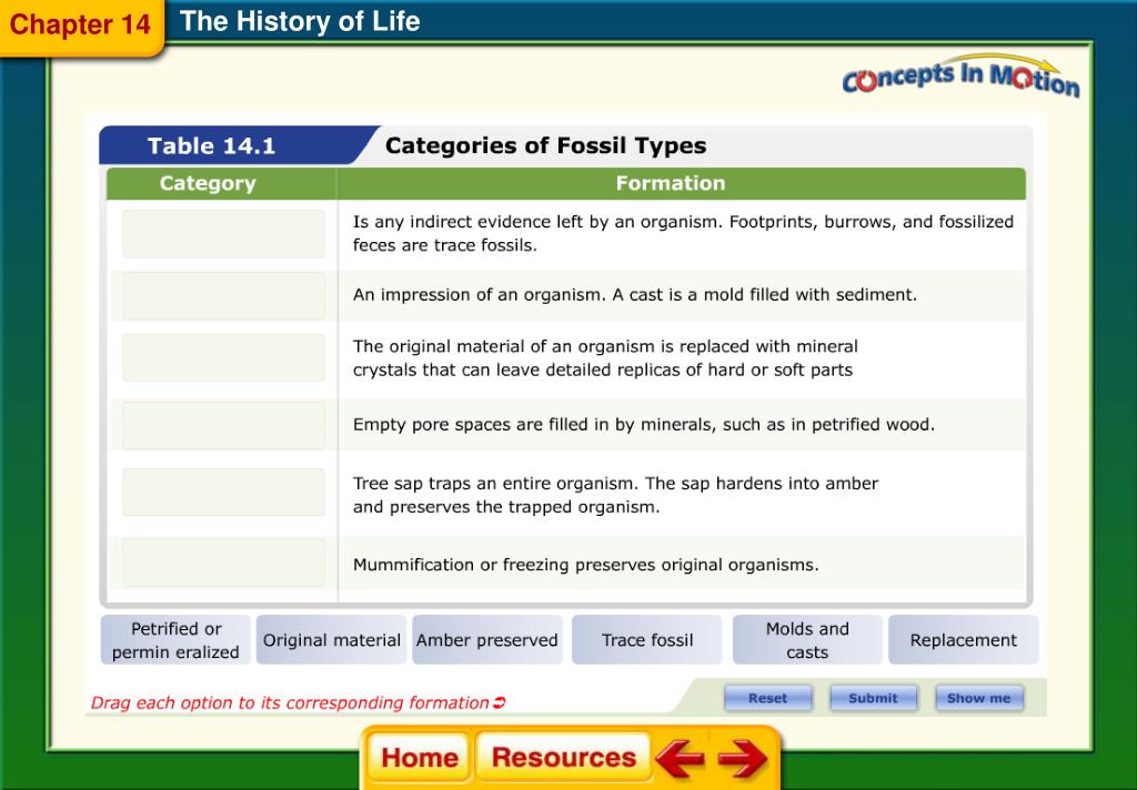 PPT - Chapter 14 The History of Life PowerPoint Presentation, free