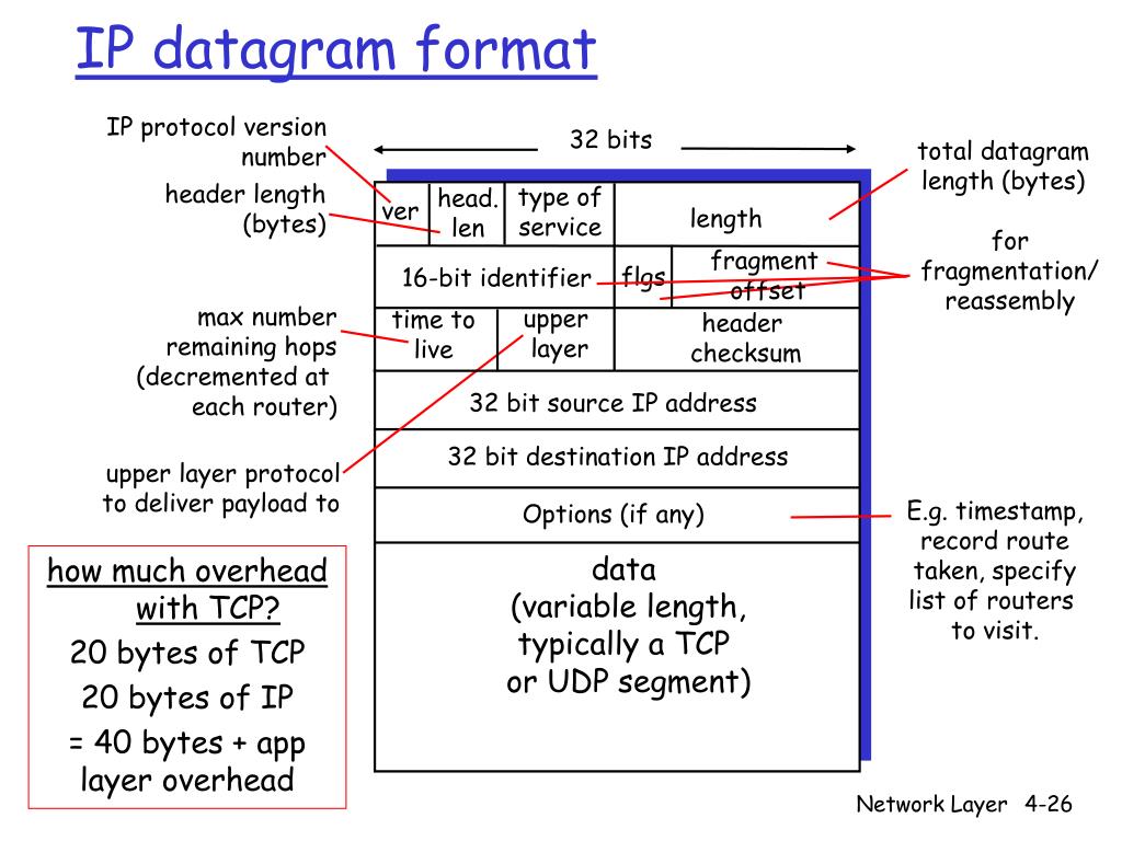 PPT Lecture 17 Network Layer (Virtual Circuits, Datagrams, Routers) PowerPoint Presentation