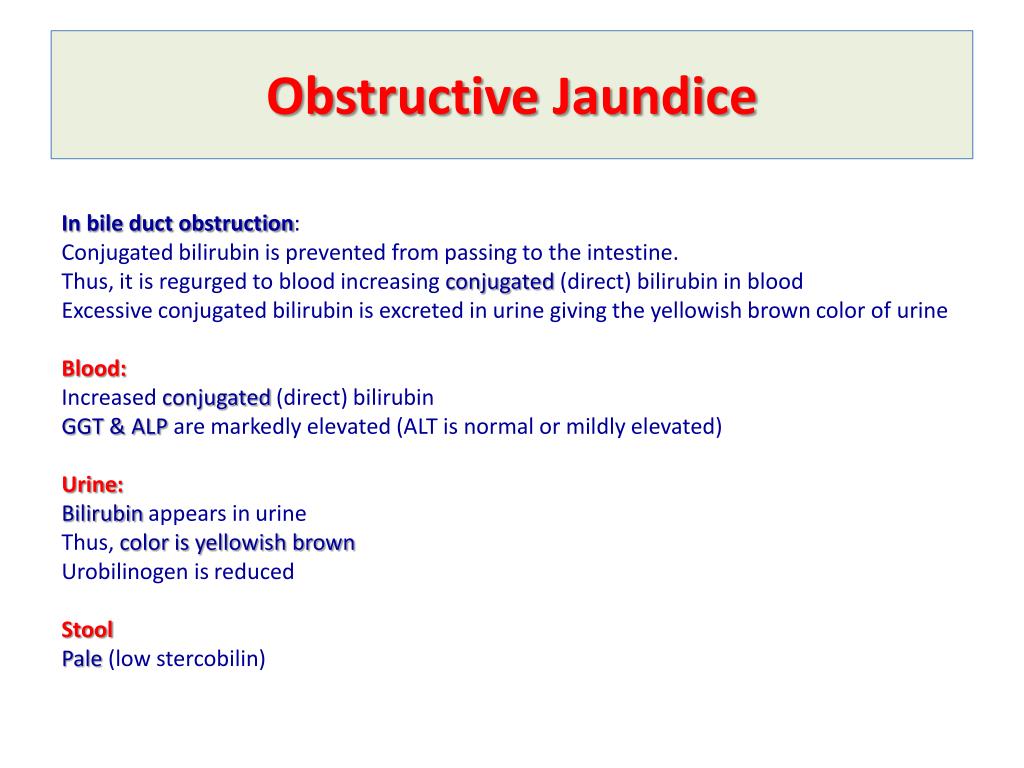 PPT Bilirubin Metabolism & Jaundice PowerPoint Presentation, free