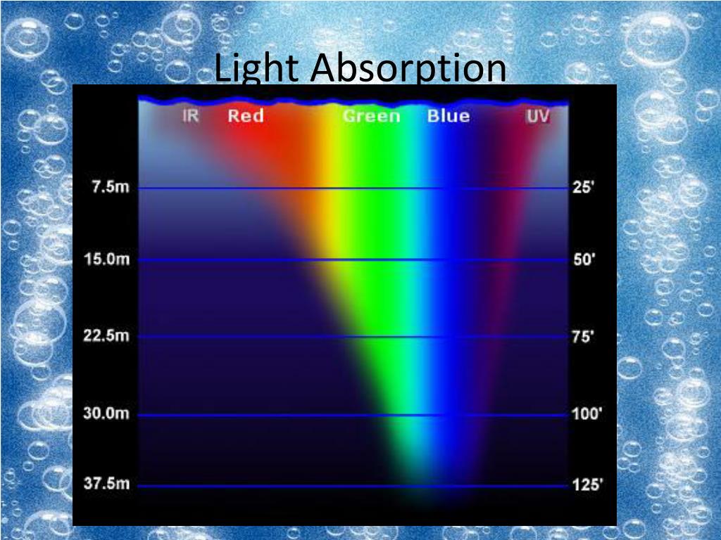 PPT Science of Scuba Diving PowerPoint Presentation, free download