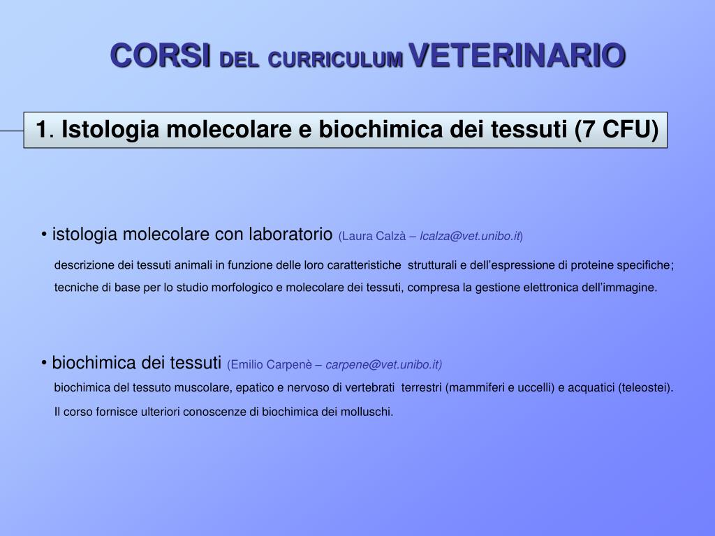 Ppt - Corso Di Laurea In Biotecnologie Powerpoint Presentation, Free Download - Id:2732237 768_x_1024_jpg