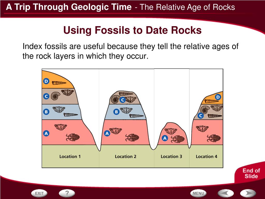 PPT Determining the Age of Rocks PowerPoint Presentation, free