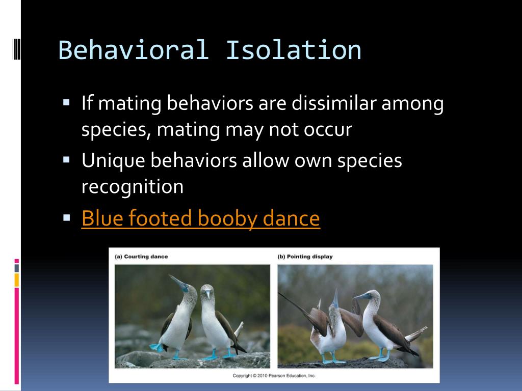 PPT Chapter 24 PowerPoint Presentation, free download ID2737512