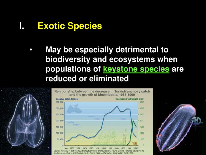 PPT Exotic Species Species invasions may profoundly affect ecosystems