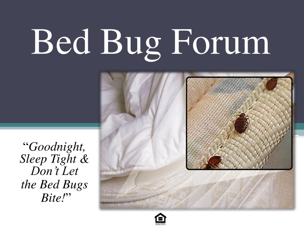 PPT Bed Bug Forum PowerPoint Presentation, free download ID2740139