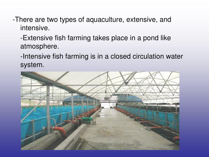 PPT Fish Farming PowerPoint Presentation ID2746478