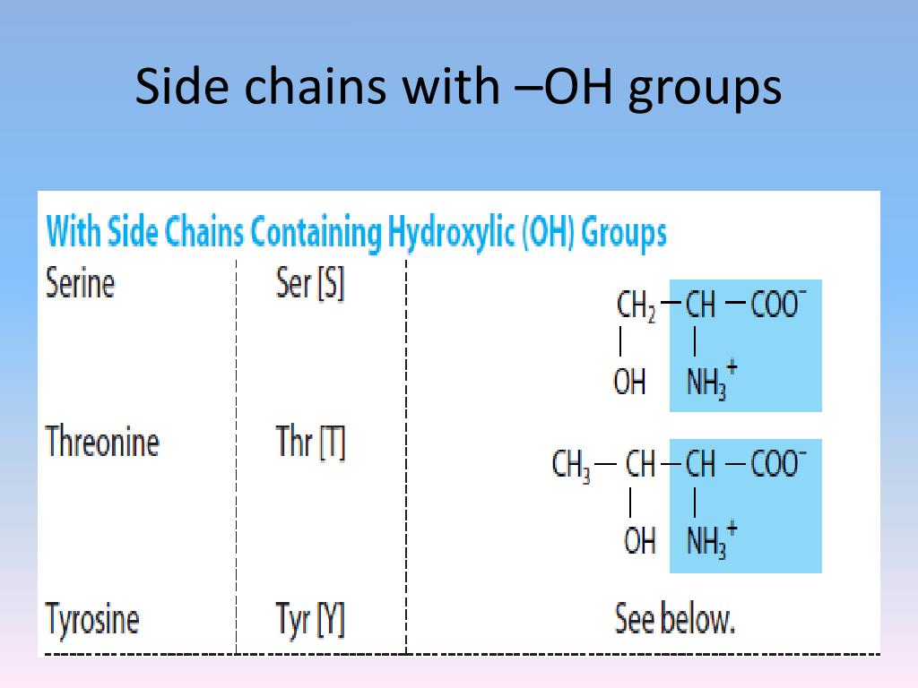 PPT Amino acid and Protein Chemistry PowerPoint Presentation, free