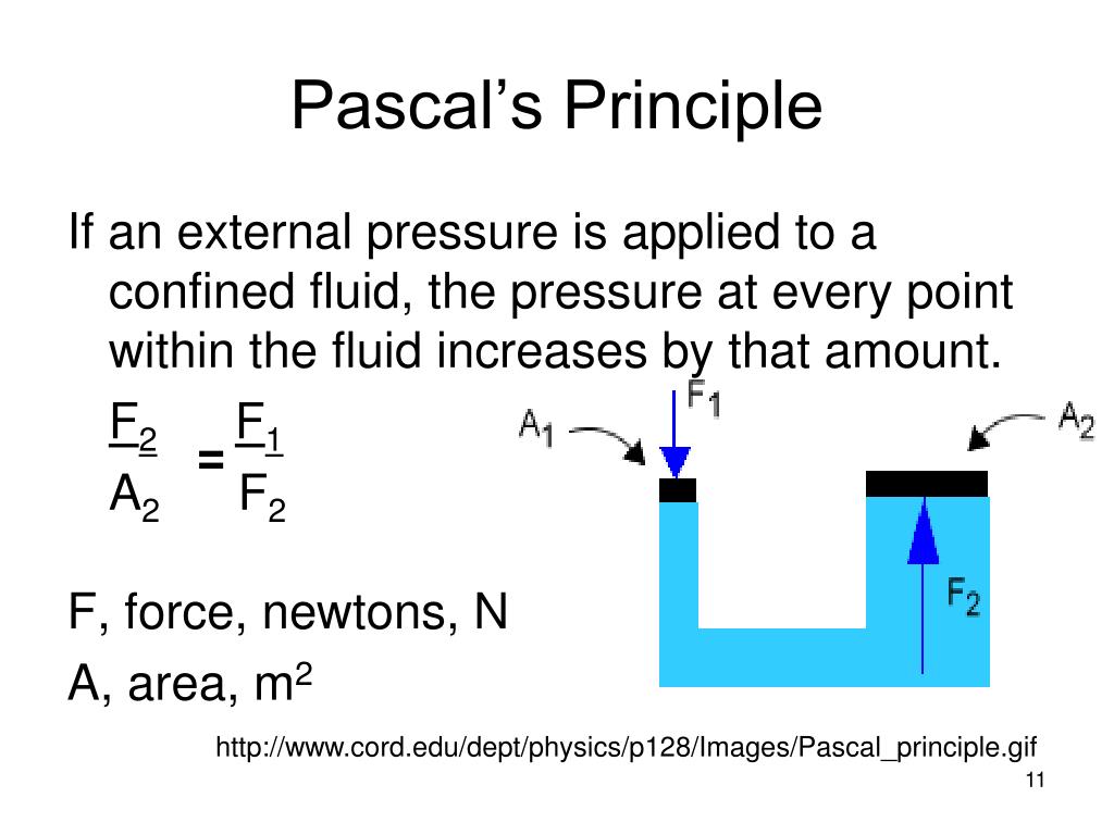 PPT P&P 13 States of Matter PowerPoint Presentation, free download