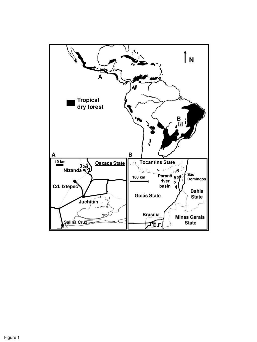 PPT Tropical dry forest PowerPoint Presentation, free download ID