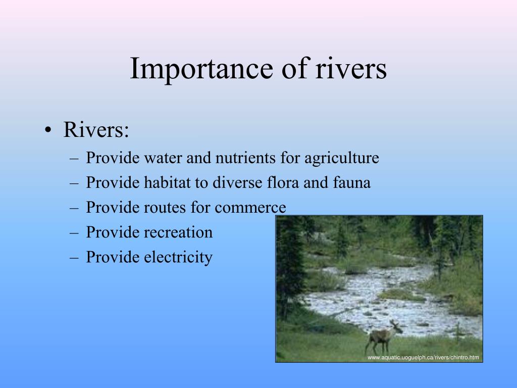 PPT River Systems PowerPoint Presentation, free download ID2748912