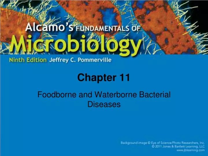 PPT Foodborne and Waterborne Bacterial Diseases PowerPoint