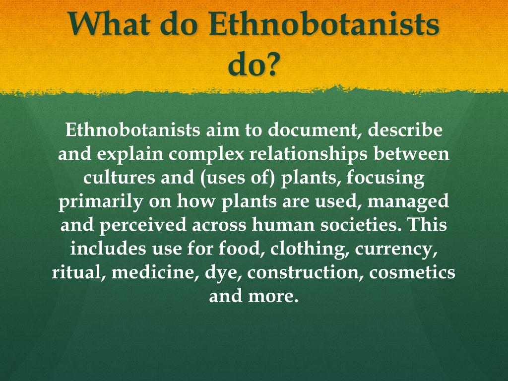 PPT Ethnobotany PowerPoint Presentation, free download ID2751745