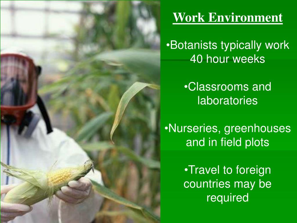 PPT Agricultural Careers Botanist PowerPoint Presentation, free