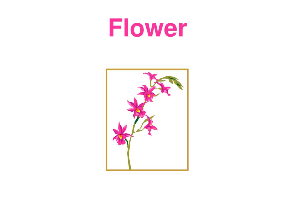 PPT Homophones PowerPoint Presentation, free download ID2752045