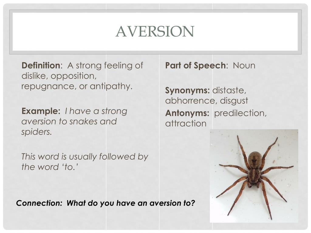 PPT Weekly Vocabulary March 1721 PowerPoint Presentation, free