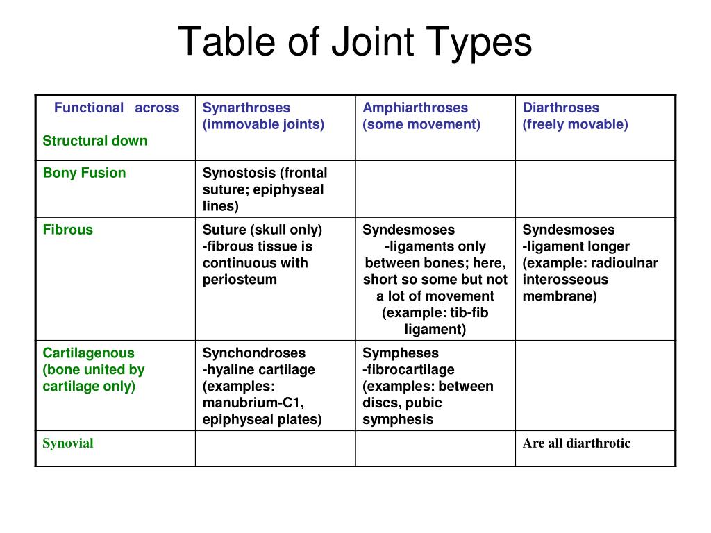 PPT Joints PowerPoint Presentation, free download ID2754854