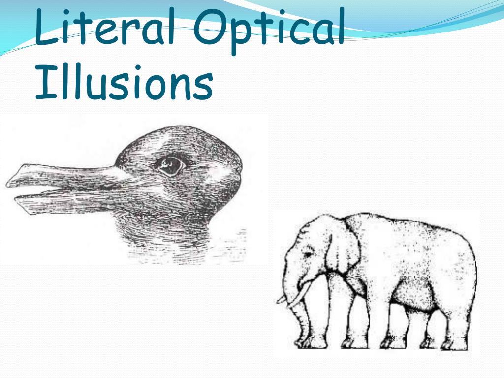PPT Optical Illusions! PowerPoint Presentation, free download ID