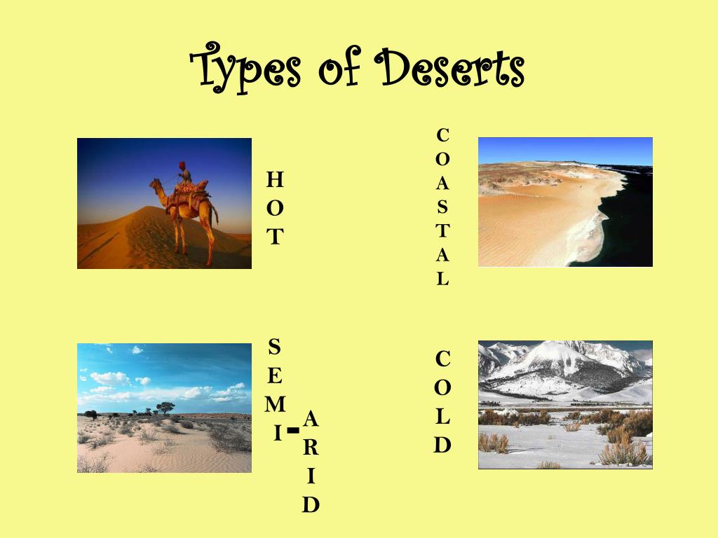 PPT Desert Biome PowerPoint Presentation, free download ID2756458