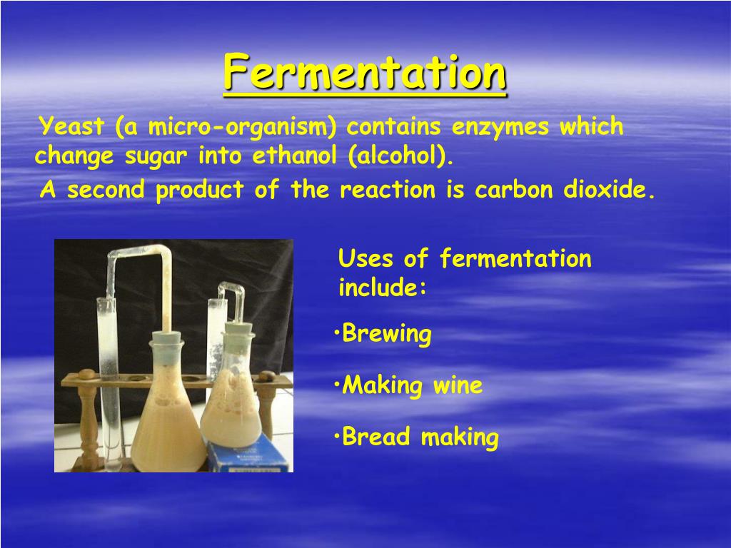 PPT Industrial Uses of Enzymes PowerPoint Presentation, free download ID2756620