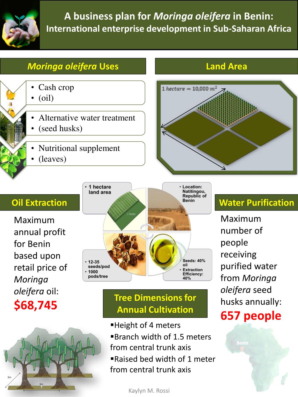 PPT A business plan for Moringa oleifera in Benin