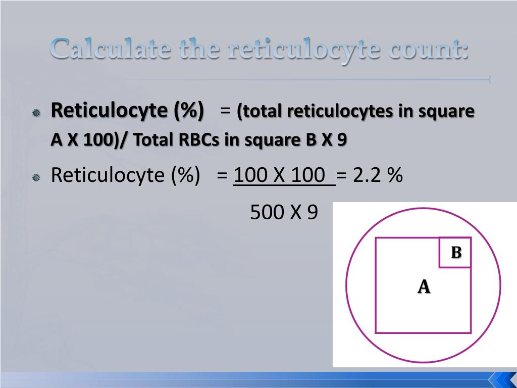 PPT Reticulocyte Count PowerPoint Presentation, free download ID