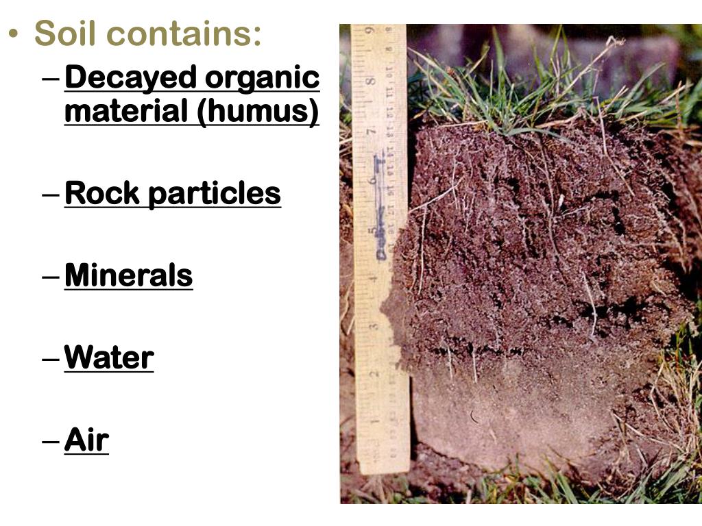 PPT AIM What is SOIL and how does it form? PowerPoint