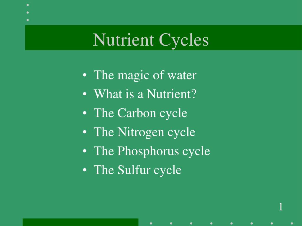 PPT Nutrient Cycles PowerPoint Presentation, free download ID2767346