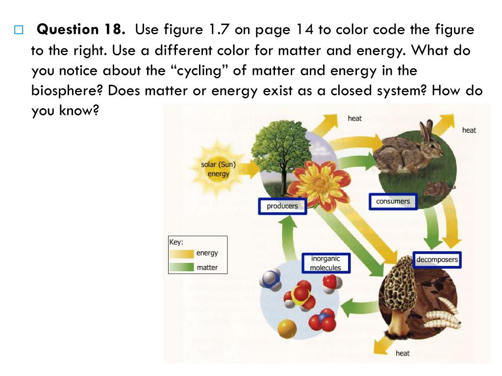 PPT 1.1 How Energy Enters the Biosphere PowerPoint Presentation, free
