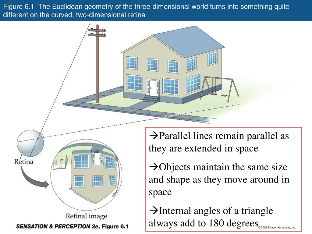 PPT Space Perception and Binocular Vision PowerPoint Presentation