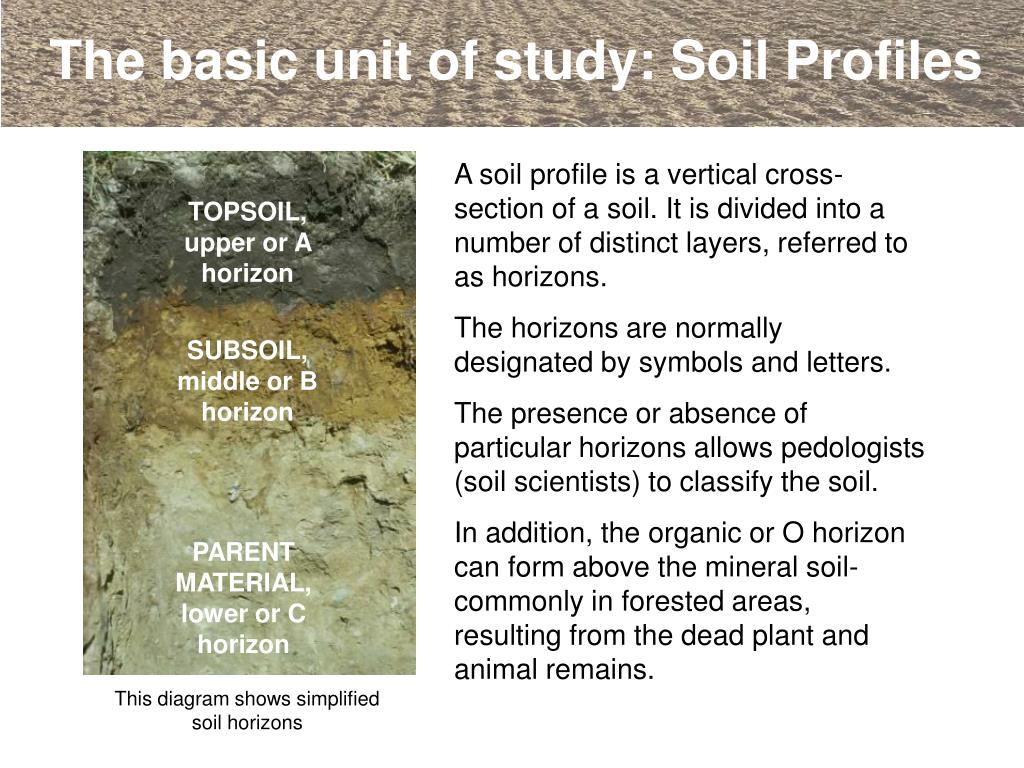 PPT An Introduction to Soils and Soil Terminology PowerPoint