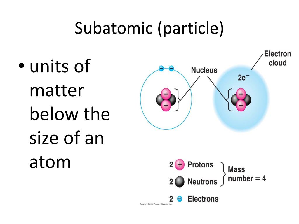 PPT The Hierarchy or Levels of Biological Organization PowerPoint