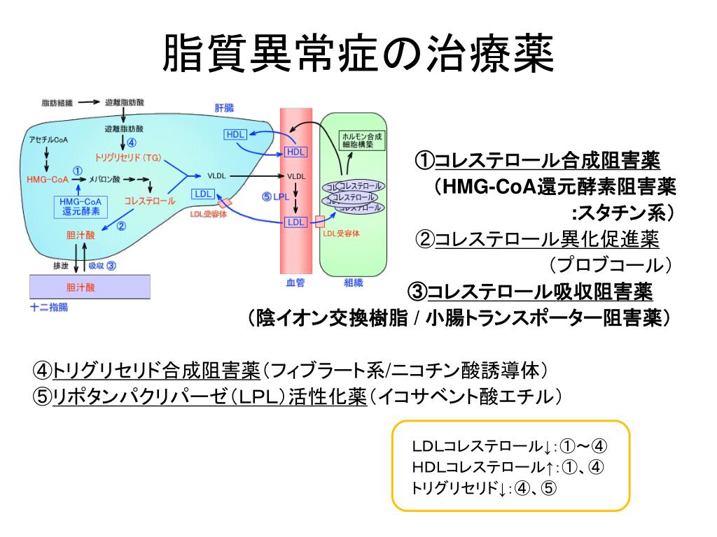 PPT 22. 79 歳 女性 PowerPoint Presentation, free download