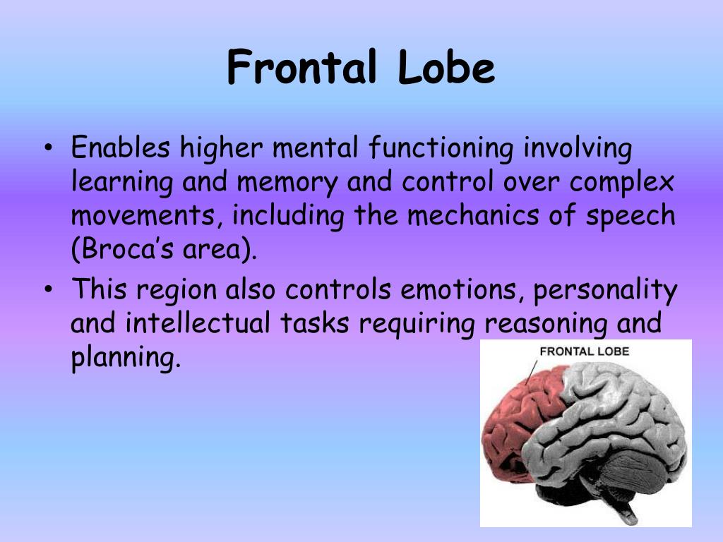 PPT Breakdown of Marks PowerPoint Presentation ID2771830
