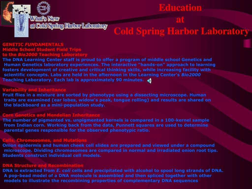 PPT SSMS Student Experience Cold Spring Harbor DNA Laboratory